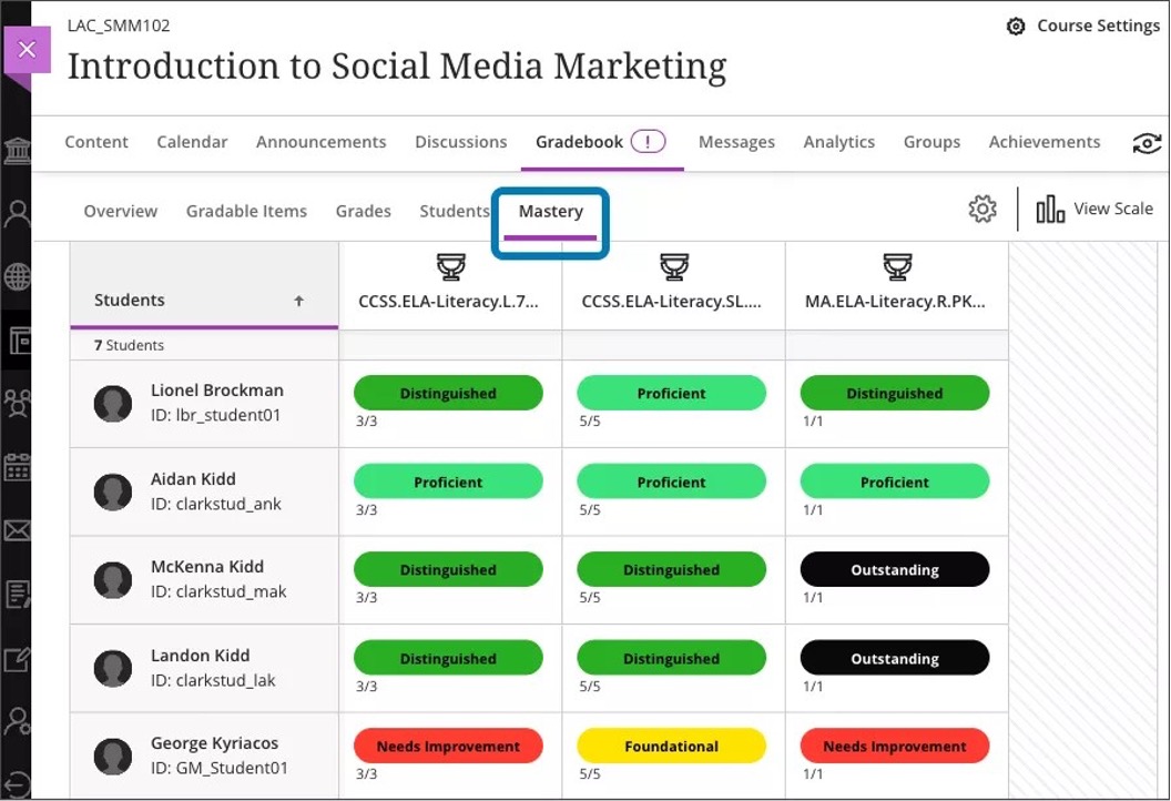 Image 1. The instructor view of the Mastery tab