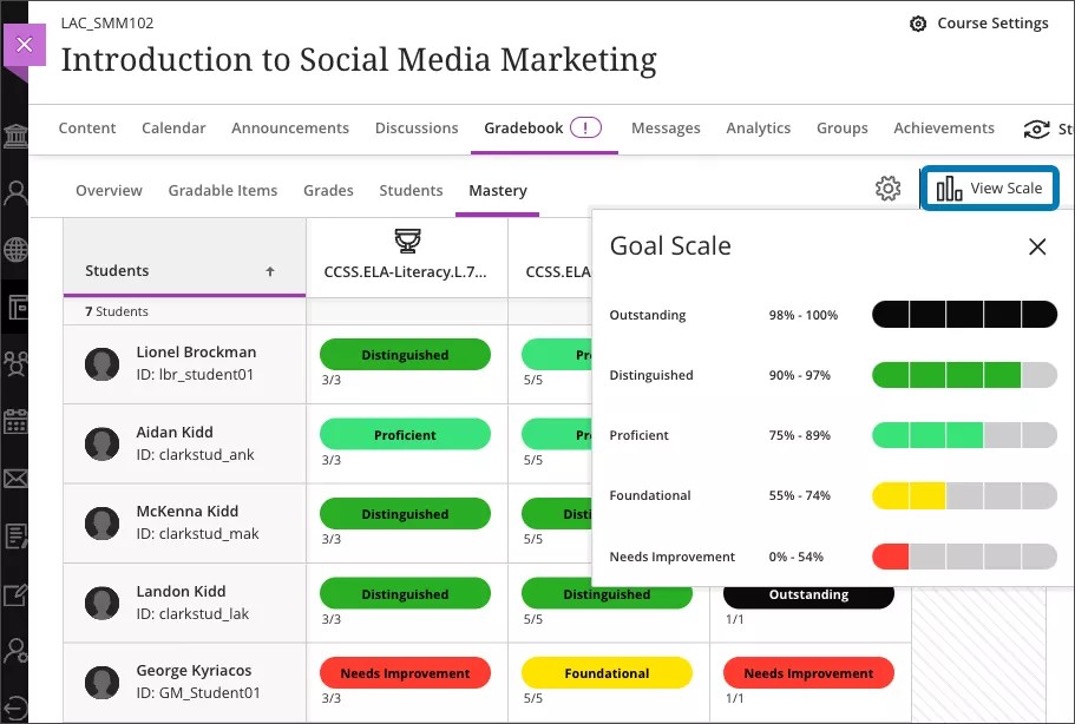 Image 3. Instructor view of the Mastery tab with View Scale selected