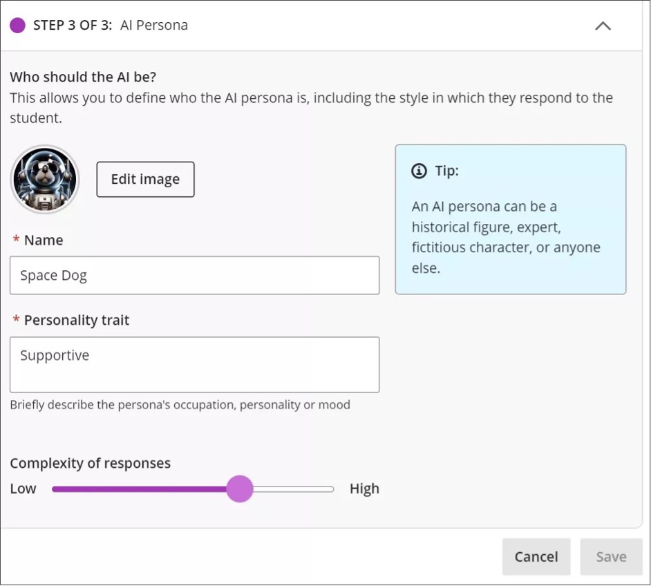 Image 3. Set up the AI persona