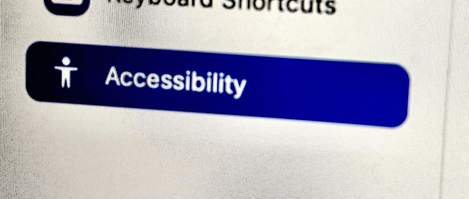 Zoomed in screenshot of an Accessibility menu option